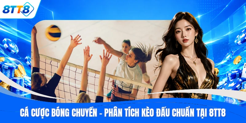 Cá Cược Bóng Chuyền