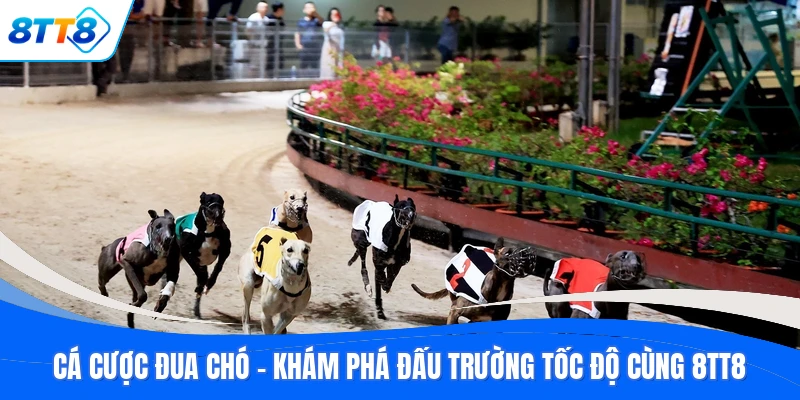 Cá Cược Đua Chó