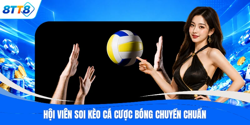 Hội viên soi kèo cá cược bóng chuyền chuẩn