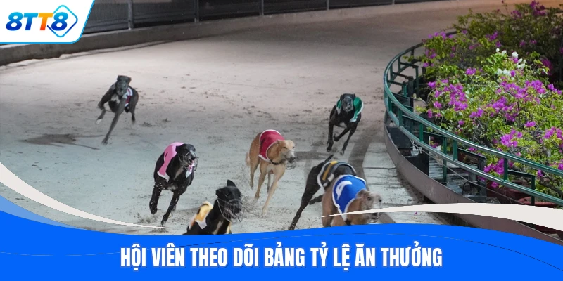 Hội viên theo dõi bảng tỷ lệ ăn thưởng