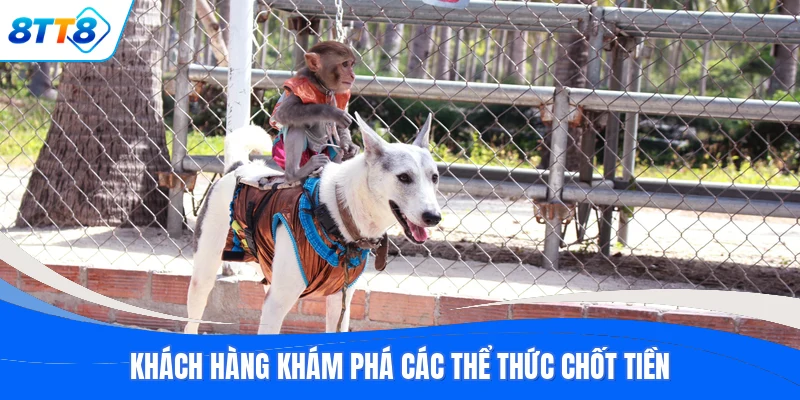 Khách hàng khám phá các thể thức chốt tiền