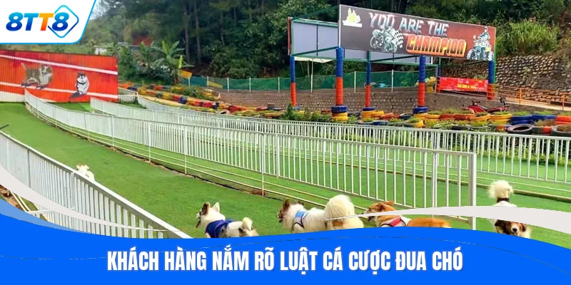Khách hàng nắm rõ luật cá cược đua chó