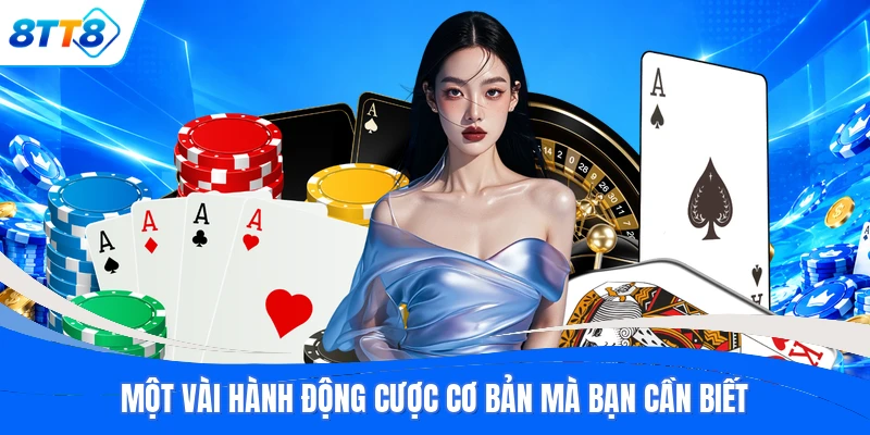 Một vài hành động cược cơ bản mà bạn cần biết