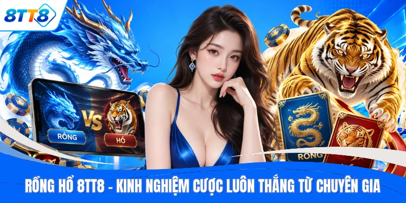 Rồng Hổ 8TT8