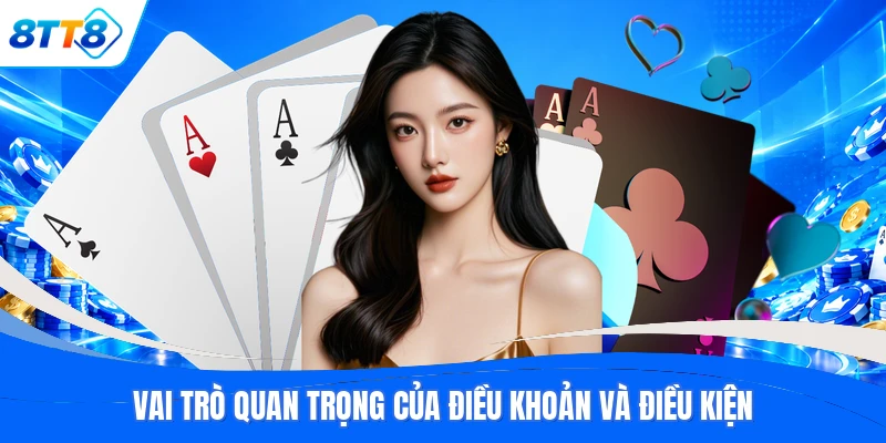 Vai trò quan trọng của điều khoản và điều kiện